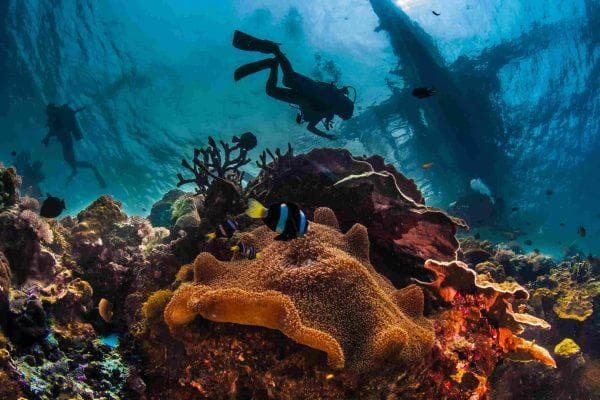 Florida Keys visitor went diving for a homemade meal but came back in handcuffs