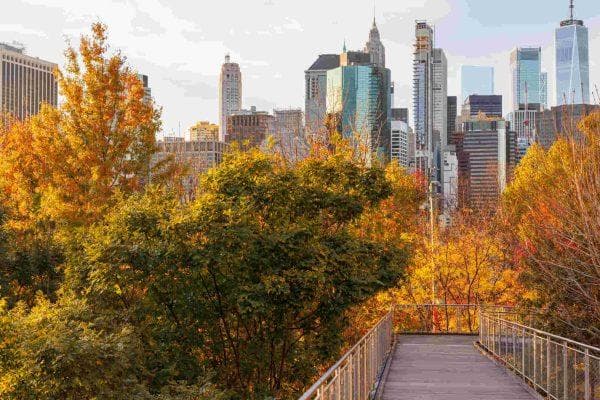 New York has more to offer this fall than you think and some of the best plans cost nothing