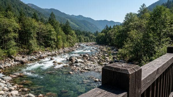 California river is drying up at the worst possible time for one species