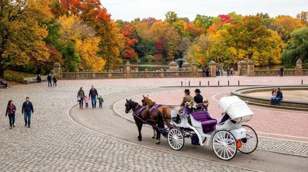 New York just gave one of Central Park’s oldest traditions an expiration date