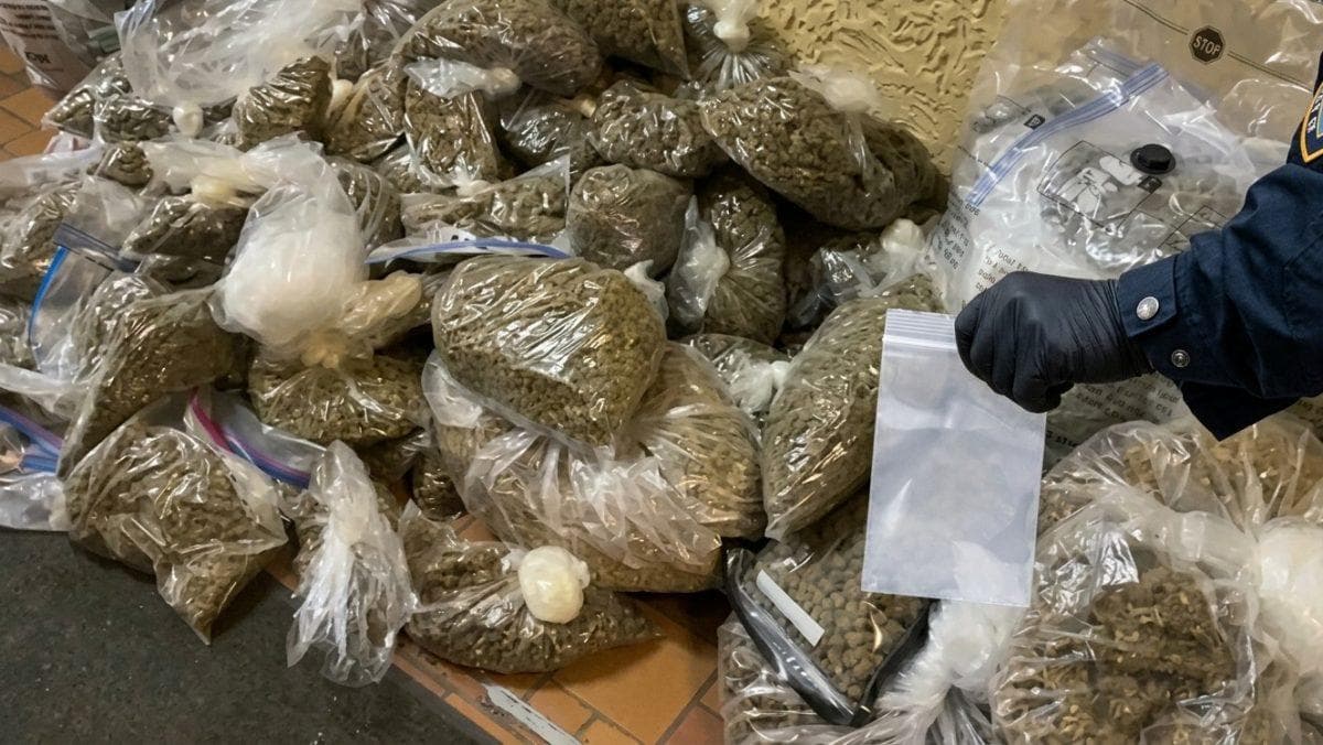Mysterious smell haunts Bronx neighbors for months until eviction reveals what was hiding behind apartment doors