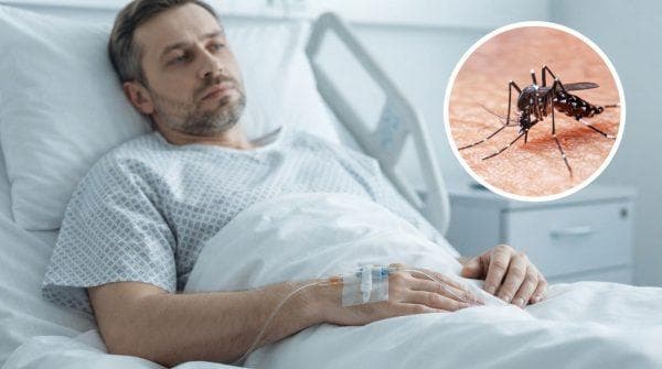 Dengue is a concern in Florida and these everyday items around your home could be breeding mosquitoes