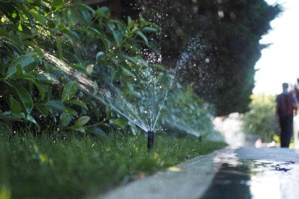 Florida homeowners could end up in court over a simple lawn watering mistake