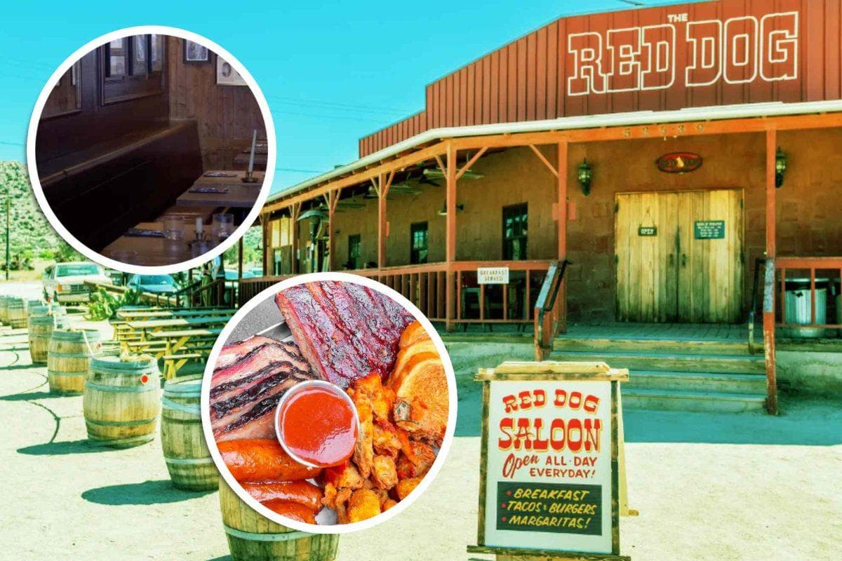 California bar closed for 46 years is now one of San Francisco’s best spots