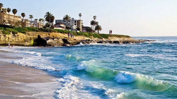 California’s unusually warm waters come with a painful surprise for unsuspecting beachgoers