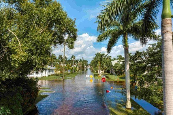 Florida and Gulf Coast states face a new tropical threat as Isaias moves closer to hurricane strength