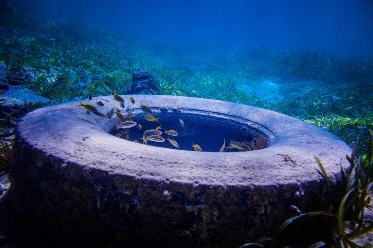 Florida’s strangest ocean experiment started with 2 million tires and turned into a 50 year headache