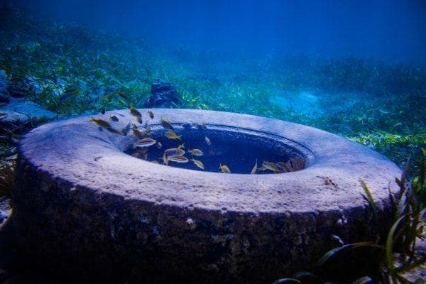 Florida’s strangest ocean experiment started with 2 million tires and turned into a 50 year headache