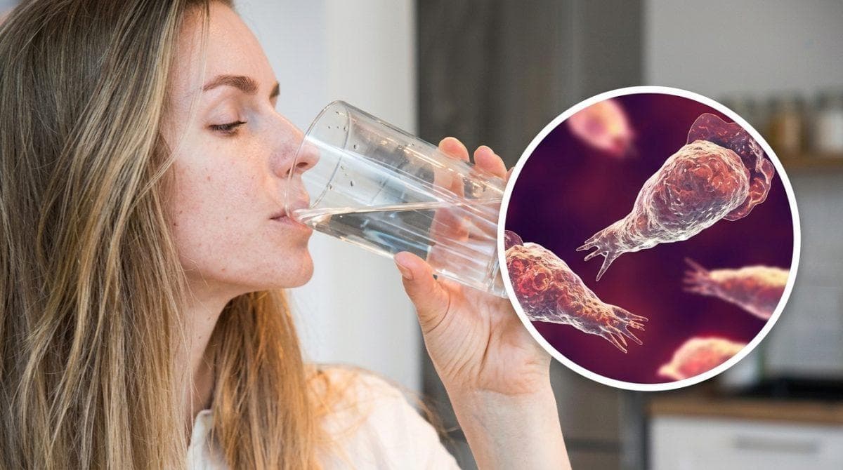 Brain eating amoeba risk why swallowing water is not the danger you should worry about