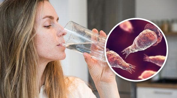Brain eating amoeba risk why swallowing water is not the danger you should worry about