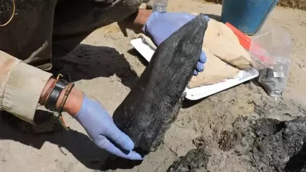 Archaeologists uncover mysterious 476,000-year-old wooden structure that predates modern humans