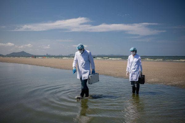 Texas red tide warning which beaches could be affected plus the health risks