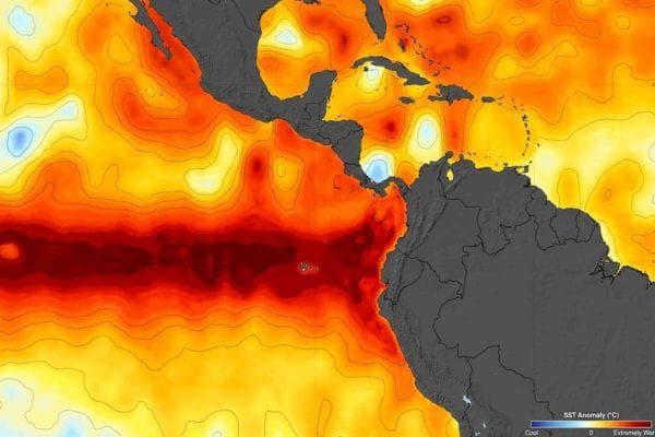 Scientists issue horror warning as potentially catastrophic impact of Super El Niño is near