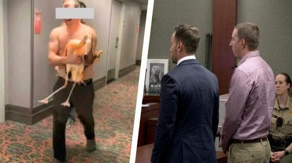 Las Vegas tourist’s night of 40 beers ends with a stolen flamingo and a possible prison sentence