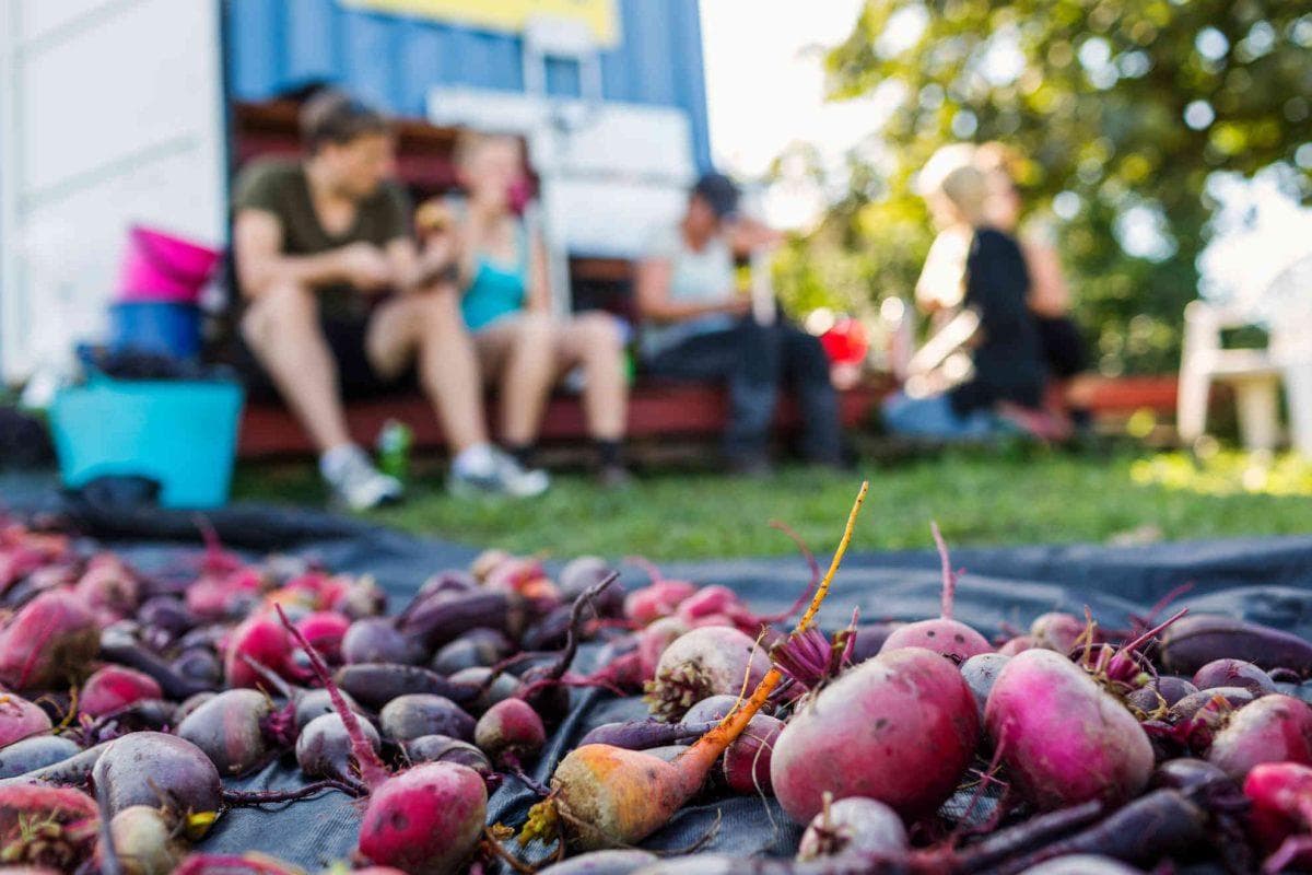 Washington farm owners raise eyebrows with an unexpected use of their 10-acre property