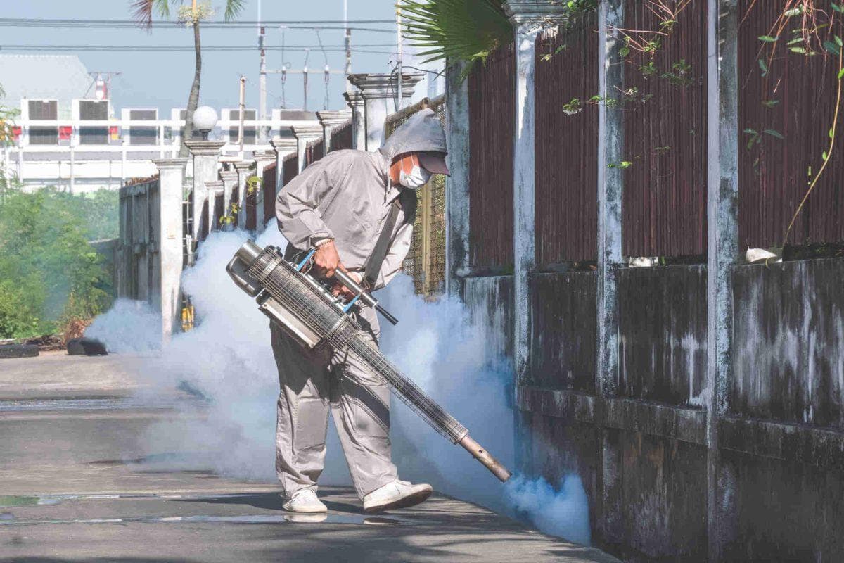 Dengue keeps spreading in Florida as three counties enter emergency mode