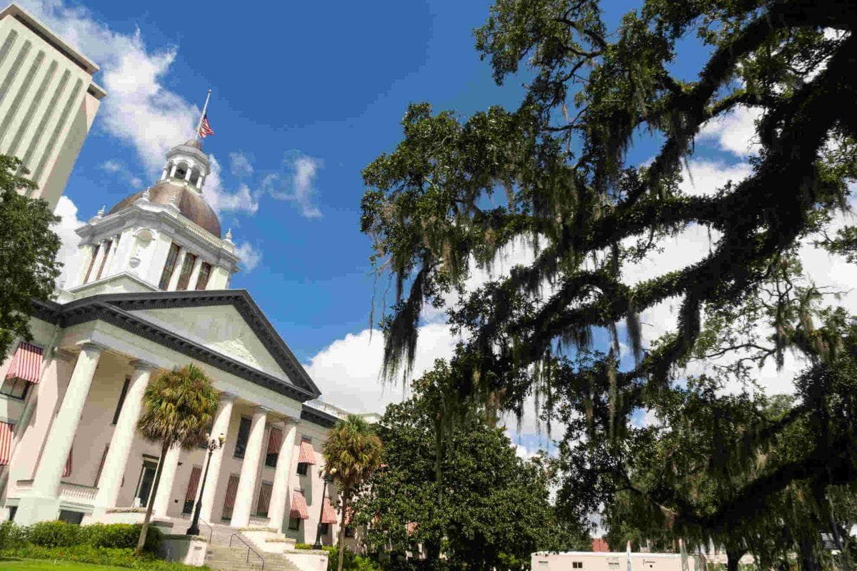 Florida’s new October 1 laws could change things for drivers, renters and pet owners