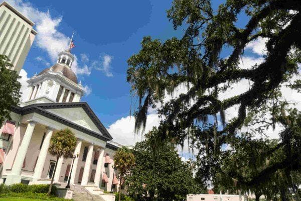Florida’s new October 1 laws could change things for drivers, renters and pet owners