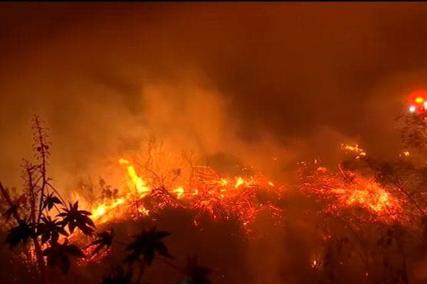 Wildfire erupts in one of Los Angeles’ wealthiest neighborhoods as dangerous winds threaten the city