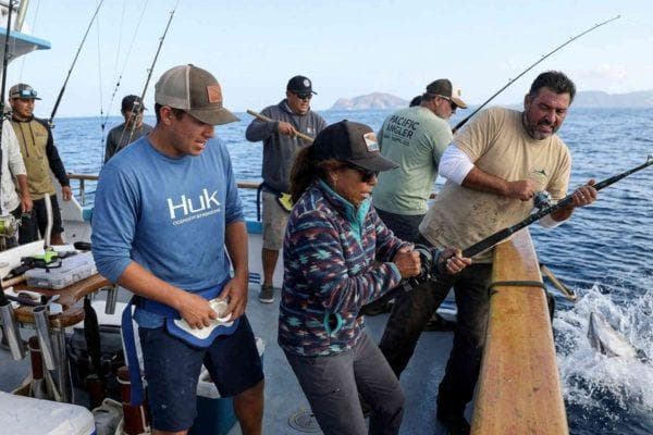 El Niño is bringing rare marine life to California’s coast and here’s what fishermen are seeing